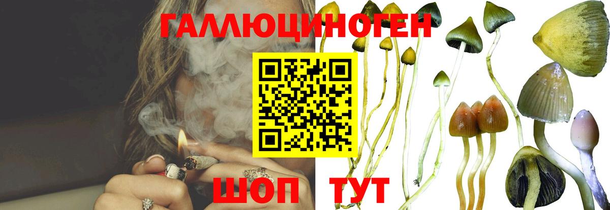 Урай  Псилоцибиновые грибы MAGIC MUSHROOMS  Вход с VPN 